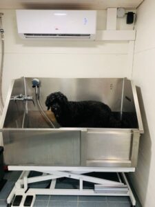 Hund in der Edelstahl-Badewanne im Hundesalon PfoteChäller in Auw – sanfte und gründliche Reinigung.